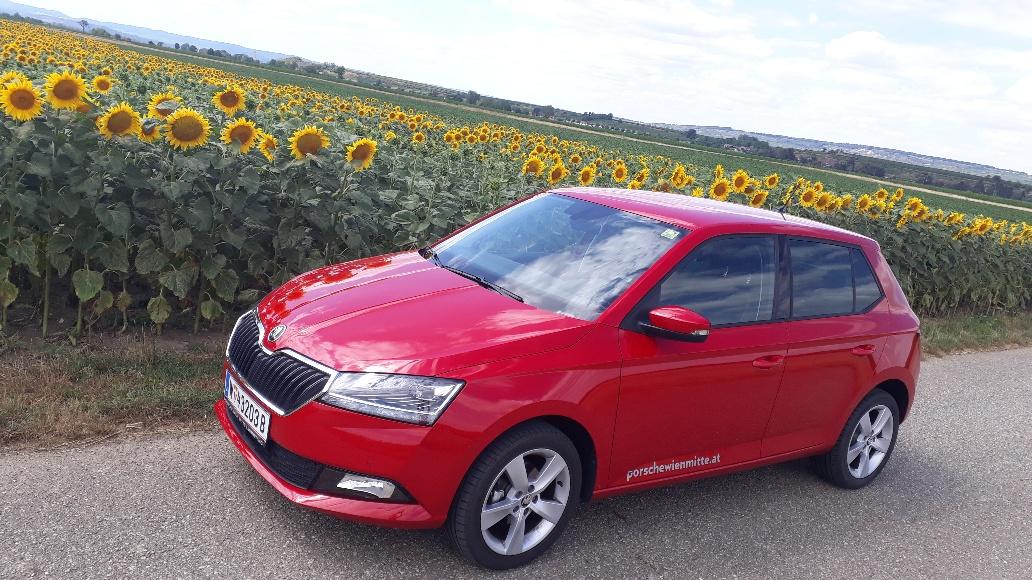 Skoda1