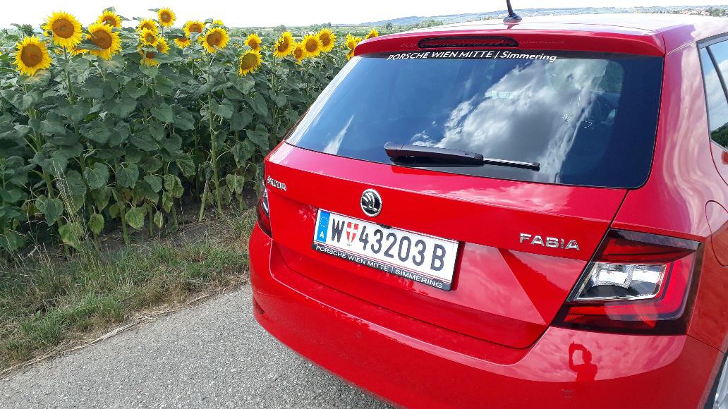 Skoda2