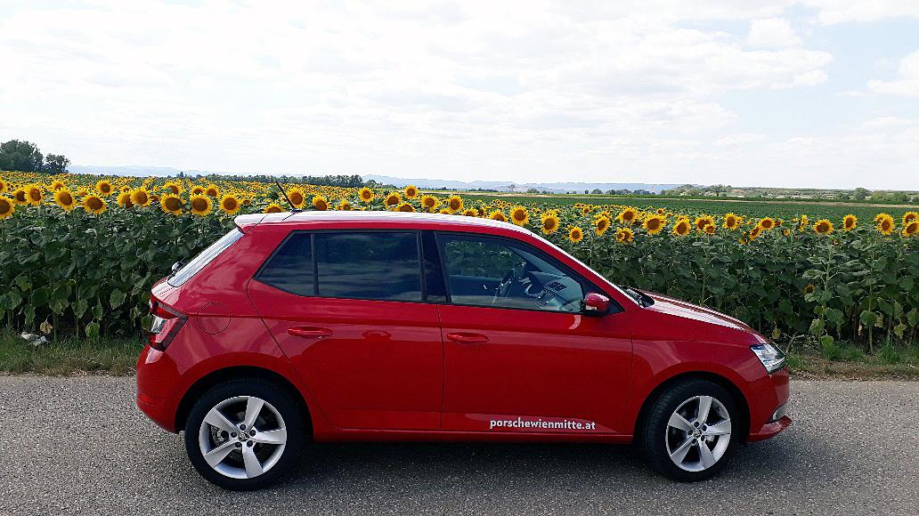 Skoda3